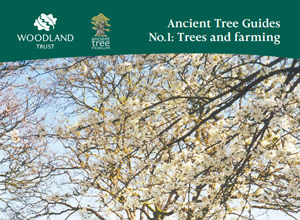 atf-guide1s | Ancient Tree Forum