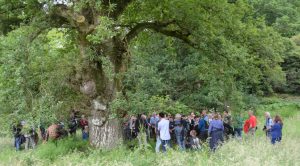 Minterne (photo credit: Brian Muelaner