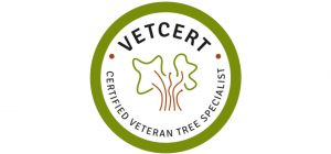 VETcert is a pan-European project aiming to improve veteran tree managment across Europe.