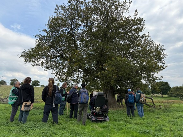 People gathered around oak tree