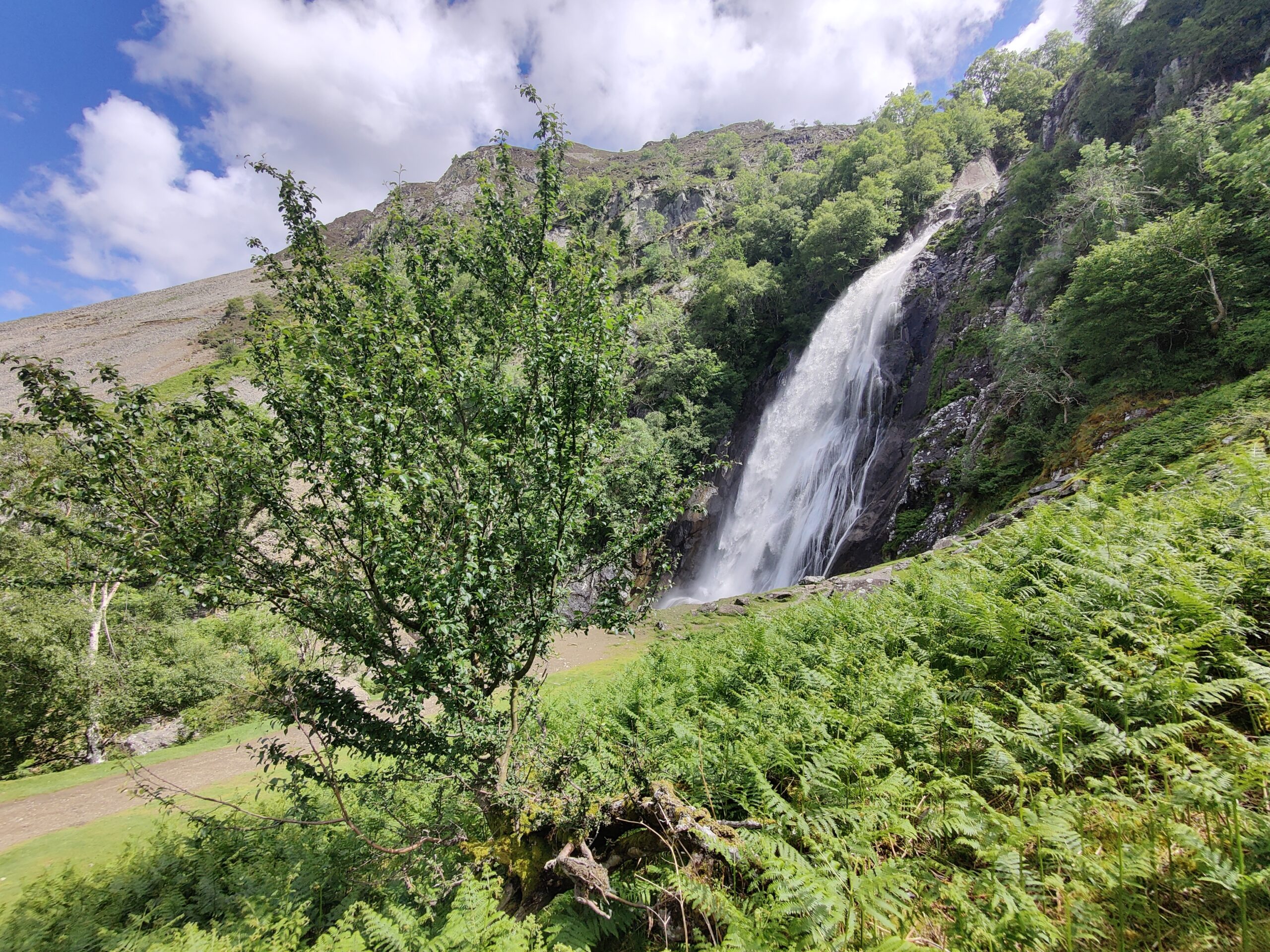 National ATF Field Meeting - 22 October 2026 - Aber Falls - Free Volunteer Ticket